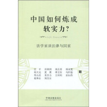 中国如何炼成软实务:法学家谈法律与国家