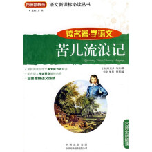 苦儿流浪记