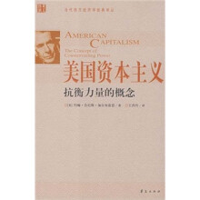 美国资本主义抗衡力量的概念