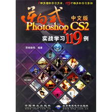 逆向式:中文版Photoshop CS2实战学习119例(附光盘1张)