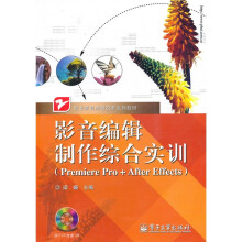 影音编辑制作综合实训(Premiere Pro+After Effects)(附DVD光盘1张)