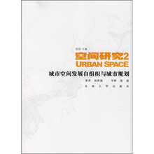 空间研究2：城市空间发展自组织与城市规划