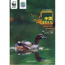 神奇多彩的中国湿地：中国湿地水鸟