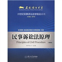 21世纪民事诉讼法学前沿系列：民事诉讼法原理（第4版）