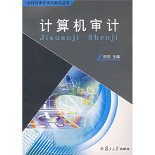 会计审计准则解读丛书:计算机审计(附光盘)