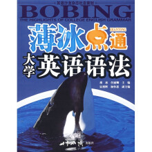 英语沙龙系列读物：薄冰点通大学英语语法