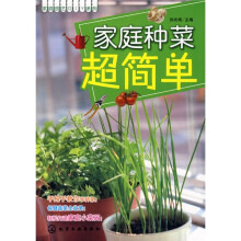 家庭种菜超简单