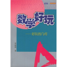 数学好玩丛书：好玩的几何