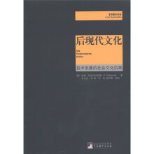 后现代书系：后现代文化·技术发展的社会文化后果