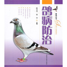 鸽病防治