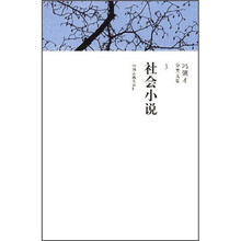 社会小说