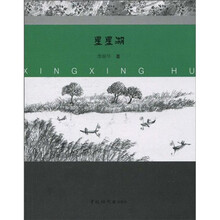 儿童时代丛书：星星湖
