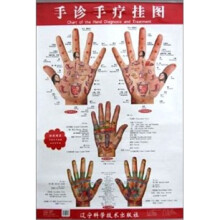 手诊手疗挂图(附说明书)