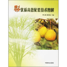 梨优质高效配套技术图解