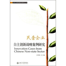 民营企业自主创新战略案例研究