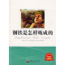 青少年必读丛书:钢铁是怎样炼成的(畅销版)