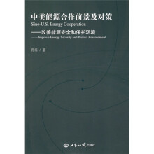中美能源合作前景及对策：改善能源安全和保护环境