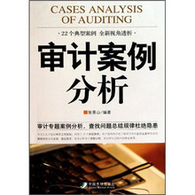 审计案例分析