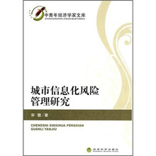 城市信息化风险管理研究