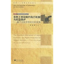 农民工劳动契约执行机制与权益保护：基于法经济学的分析视角