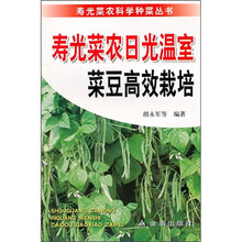 寿光菜农日光温室菜豆高效栽培
