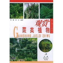 观赏蕨类植物