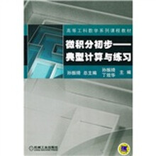高等工科数学系列课程教材·微积分初步：典型计算与练习