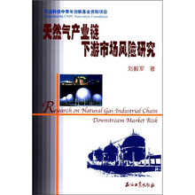 天然气产业链下游市场风险研究