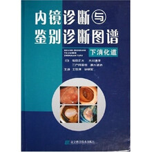 内镜诊断与鉴别诊断图谱:下消化道