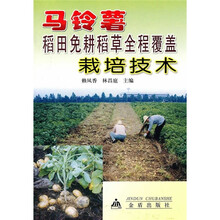 马铃薯稻田免耕稻草全程覆盖栽培技术