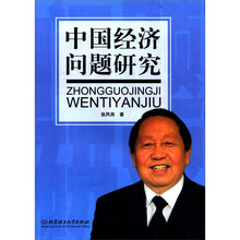 中国经济问题研究