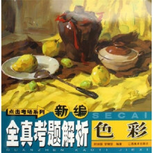 新编点击考场全真考题解析：色彩