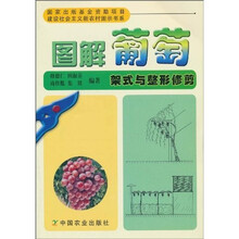 图解葡萄架式与整形修剪