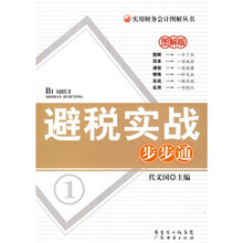 避税实战步步通