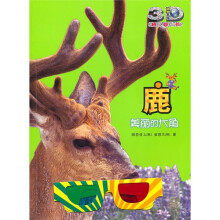 鹿：美丽的大角