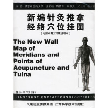 新编针灸推拿经络穴位挂图(共3张)(附中英文对照说明书)