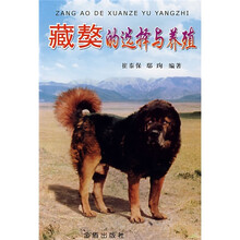 藏獒的选择与养殖
