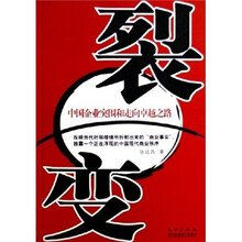 裂变：中国企业突围和走向卓越之路
