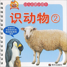 幼儿启蒙识图卡：识动物2
