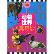 头脑碰碰车:动物世界真奇妙