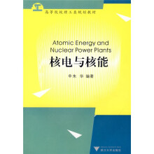 高等院校理工类系列教材：核电与核能