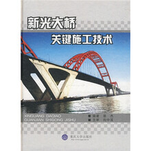 新光大桥关键施工技术