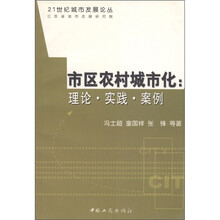 市区农村城市化：理论·实践·案例