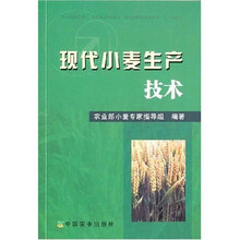 现代小麦技术