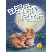 在银色的月光下