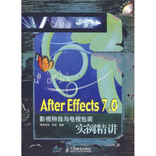 Arter Effects 7.0影视特效与电视包装实例精讲(附光盘)