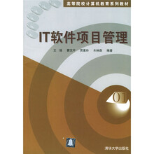 高等院校计算机教育系列教材：IT软件项目管理