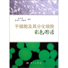 干细胞及其分化细胞彩色图谱
