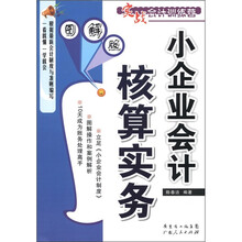 实战会计训练营：小企业会计核算实务（图解版）