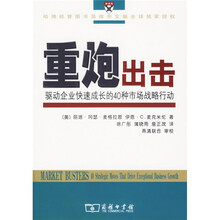 重炮出击：驱动企业快速成长的40种市场战略行动